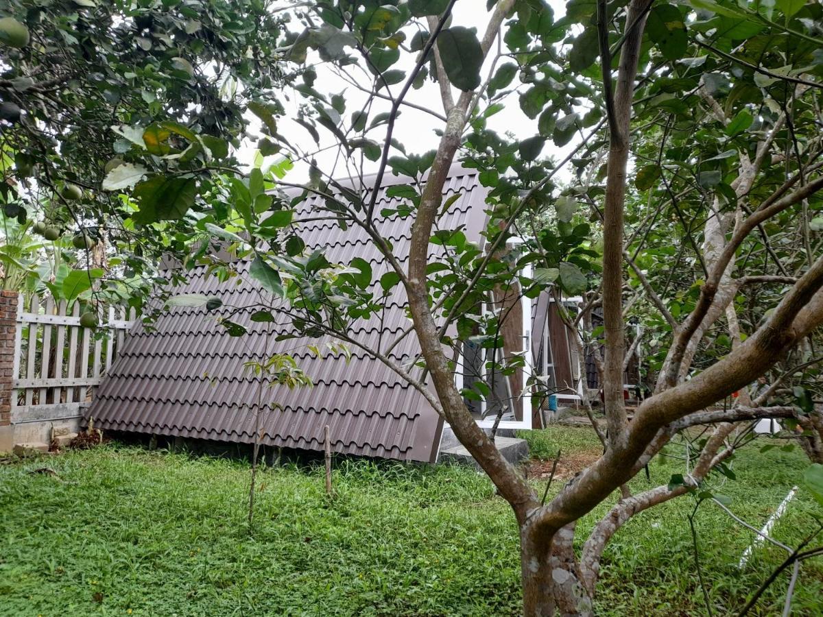 Tam Tinh Vien Homestay Hue Exteriör bild