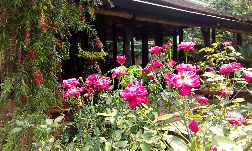 Tam Tinh Vien Homestay Hue Exteriör bild