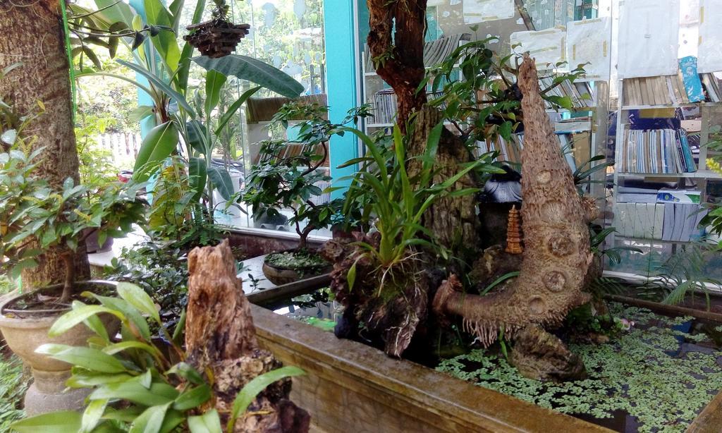 Tam Tinh Vien Homestay Hue Exteriör bild