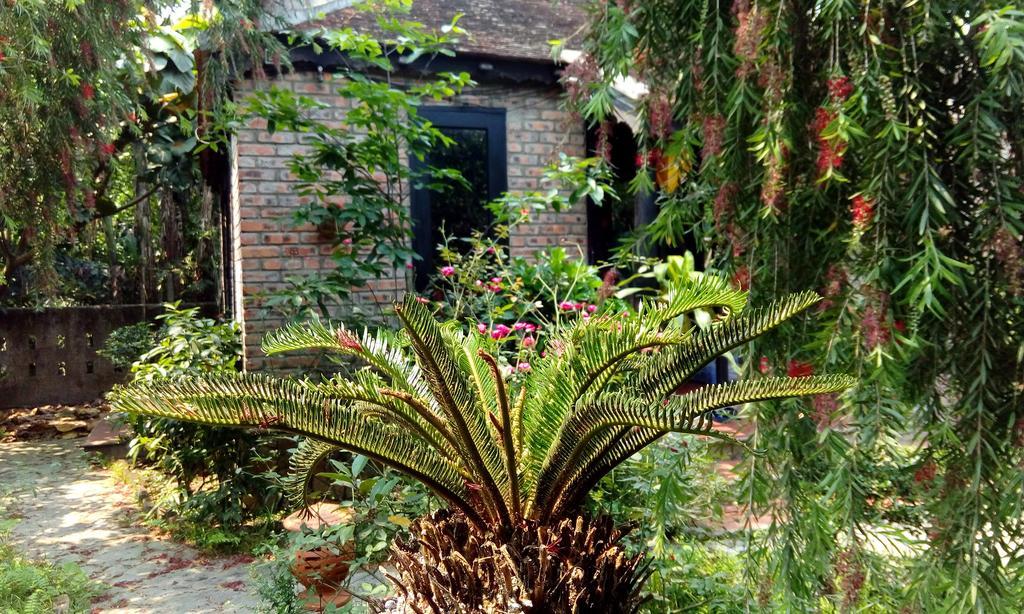 Tam Tinh Vien Homestay Hue Exteriör bild