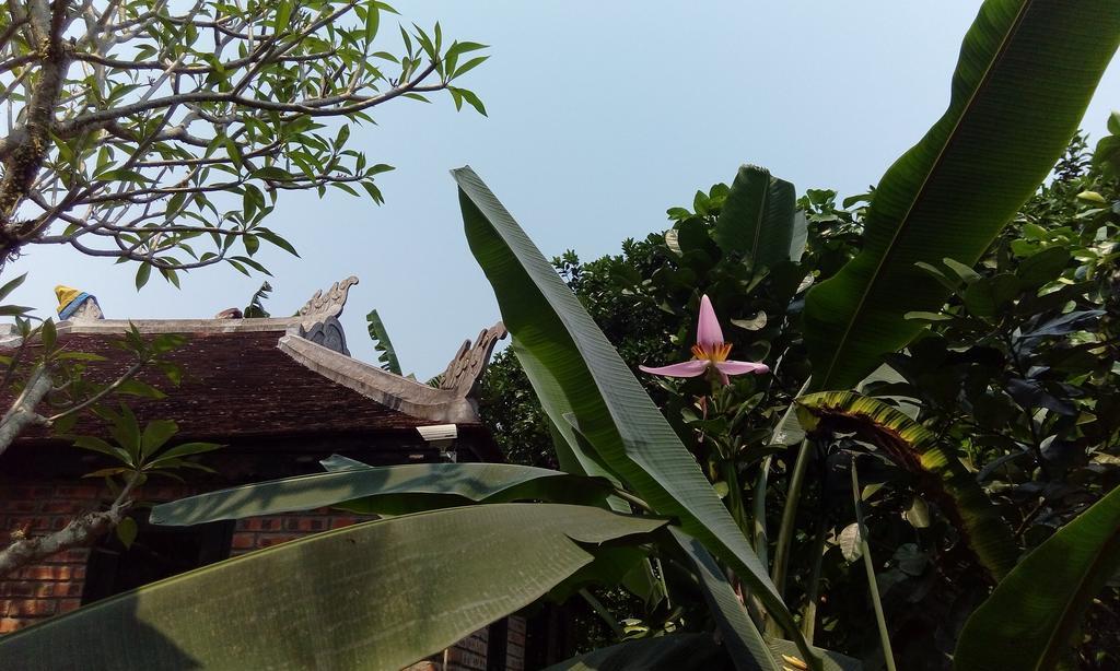 Tam Tinh Vien Homestay Hue Exteriör bild