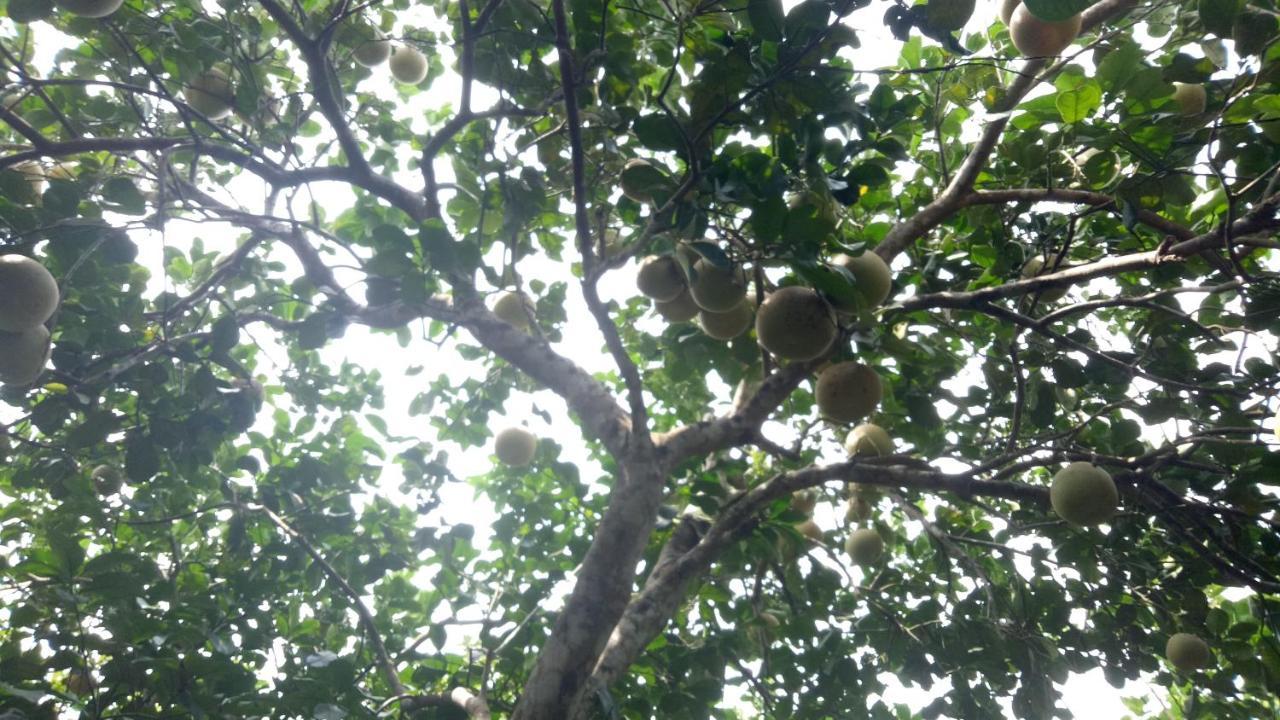 Tam Tinh Vien Homestay Hue Exteriör bild