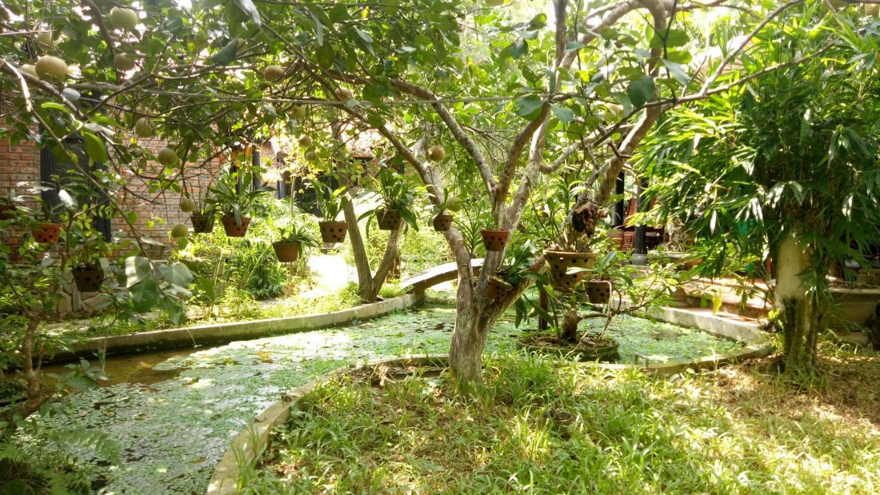 Tam Tinh Vien Homestay Hue Exteriör bild