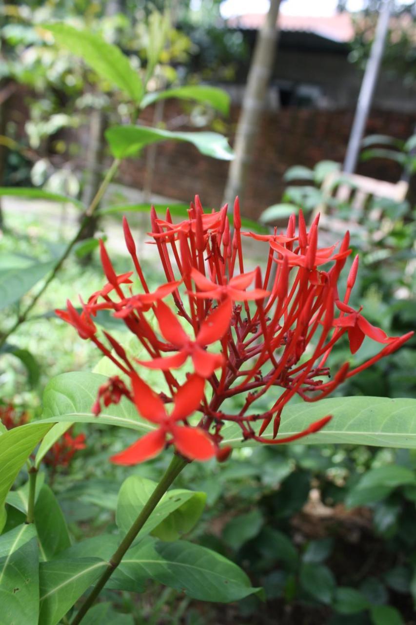 Tam Tinh Vien Homestay Hue Exteriör bild
